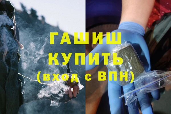 прущие грибы Бердск
