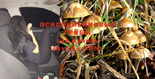 прущая мука Михайлов