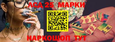 тгк Гай