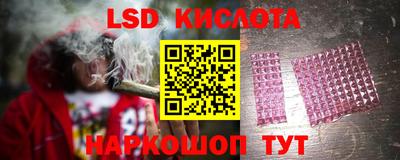 тгк Гай