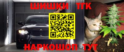 мдпв Гагарин