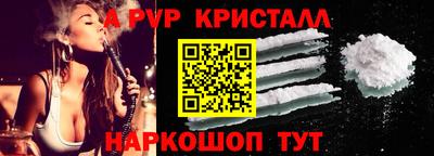 тгк Гай