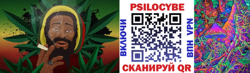 мега как войти  Дзержинский  Галлюциногенные грибы MAGIC MUSHROOMS 