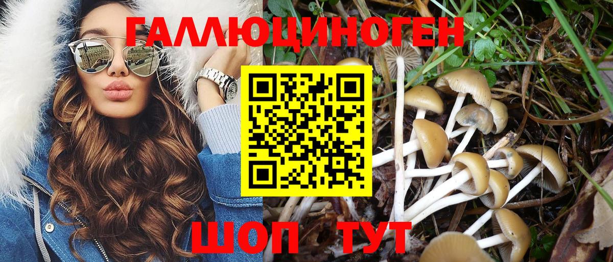 Дзержинский  COCAIN  A-PVP  Мяу-Мяу  Гашиш  Диски  Вход с VPN  Каннабис  Плюхи 