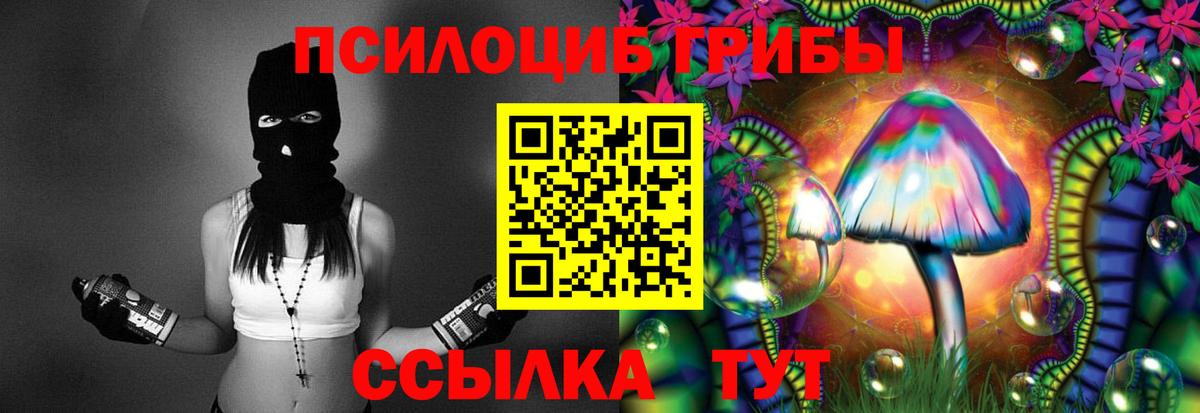 Галлюциногенные грибы Psilocybe  Дзержинский  Псилоцибиновые грибы прущие грибы 