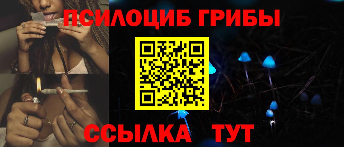 Псилоцибиновые грибы Psilocybine cubensis  Вход с VPN  Дзержинский  Псилоцибиновые грибы Cubensis 